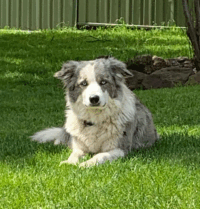 Gracie May