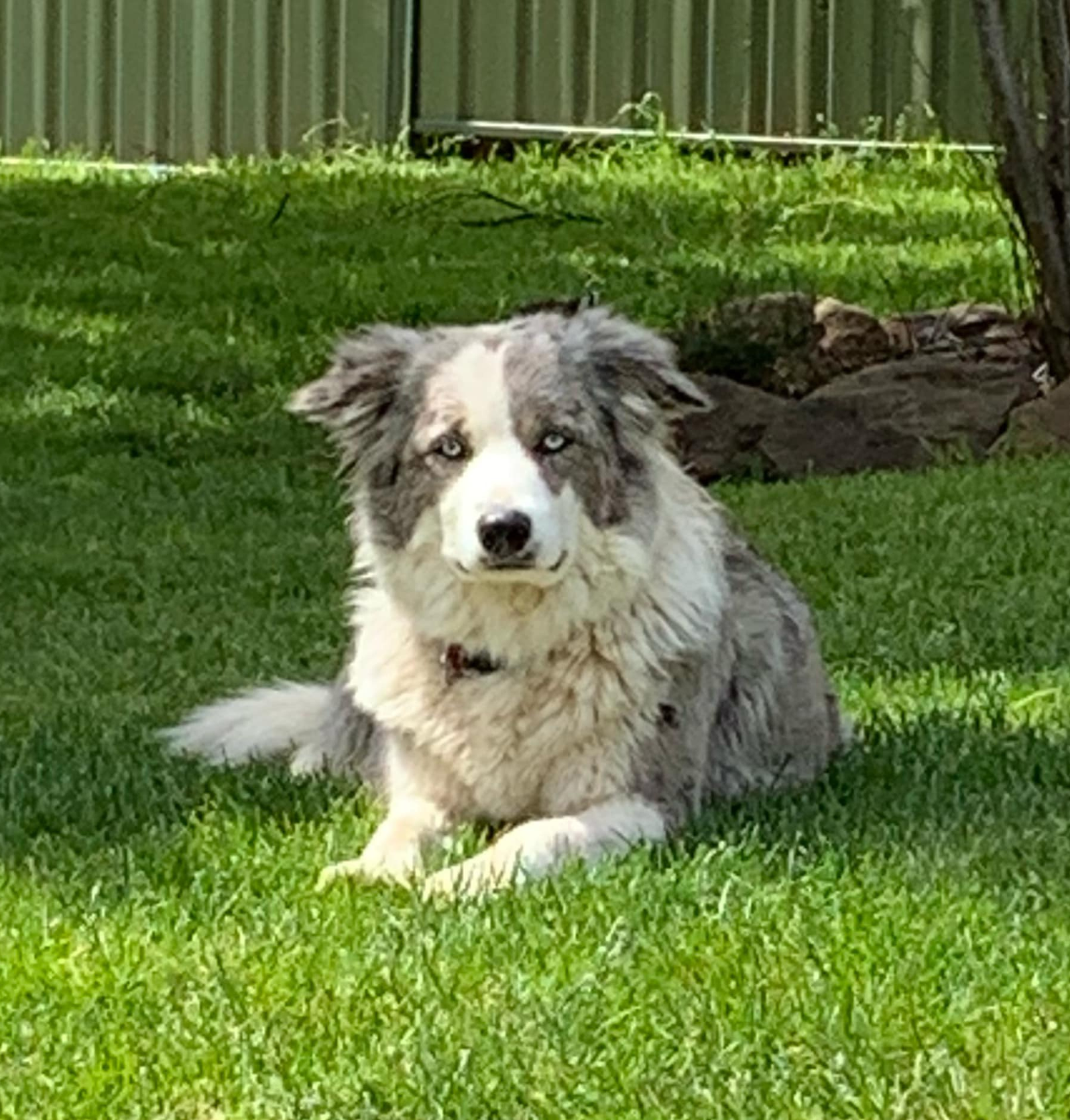Gracie May
