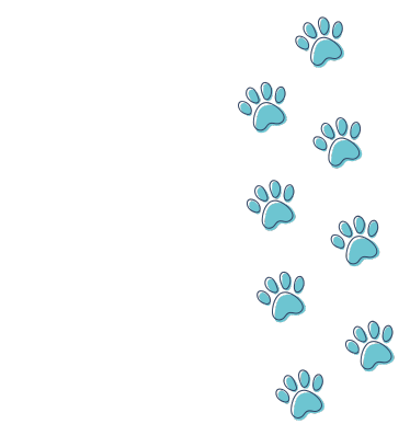 Banaby Park Border Collie Breeder
