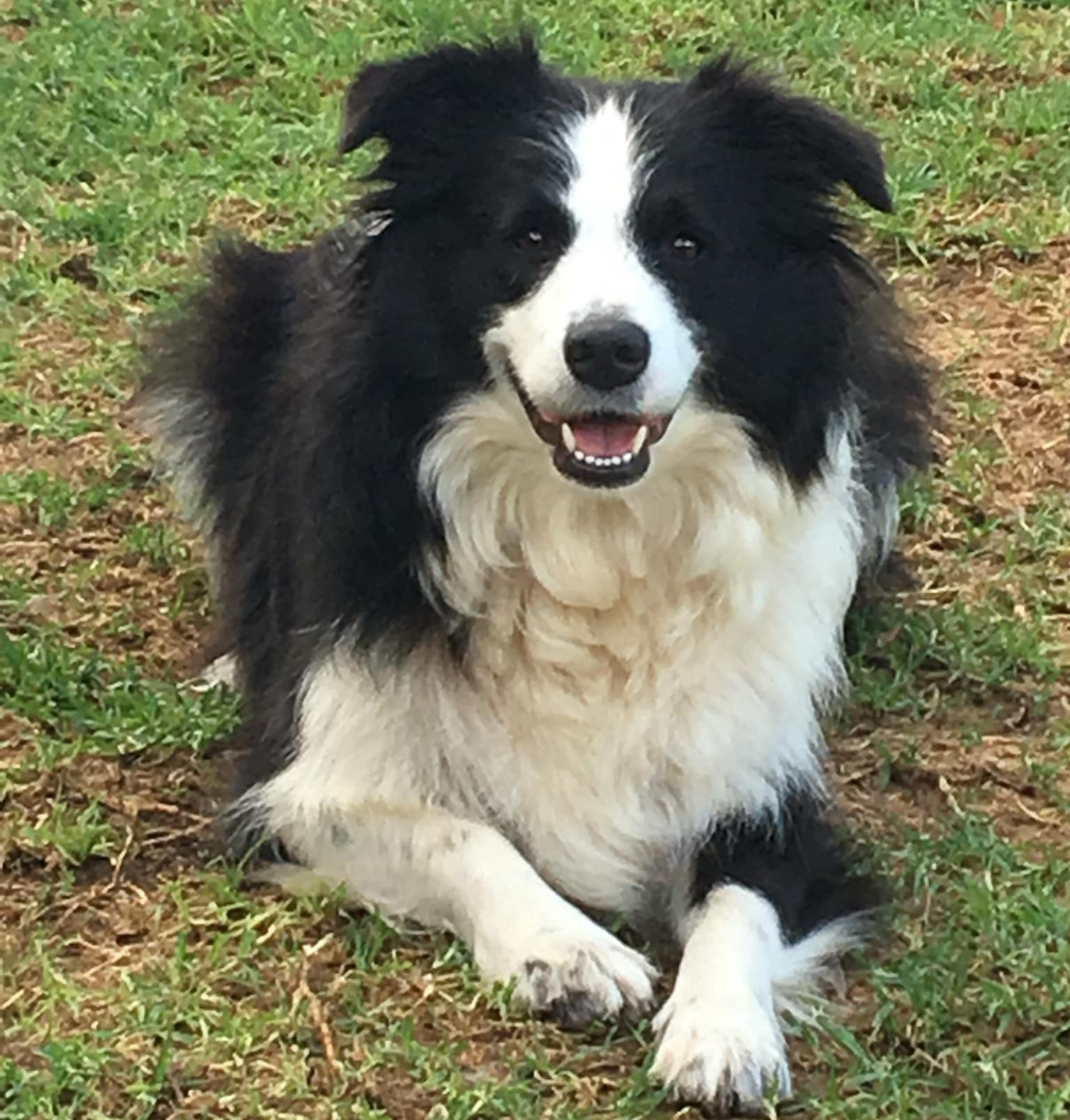 Roxie